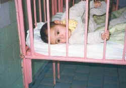 staringthroughbars.jpg (39760 bytes)